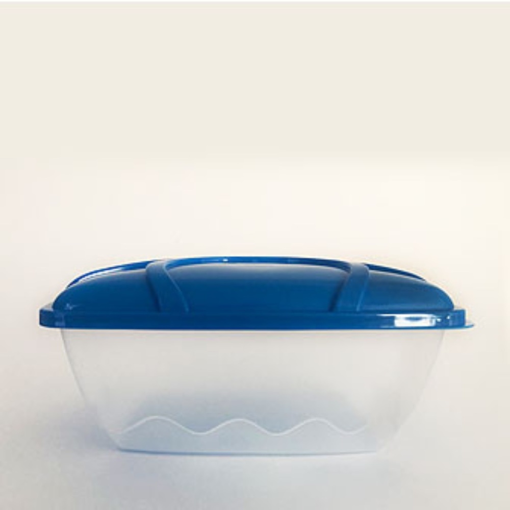 Food Storage Container With Lid - Picture 2 of 7